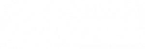 Logo IVRNET